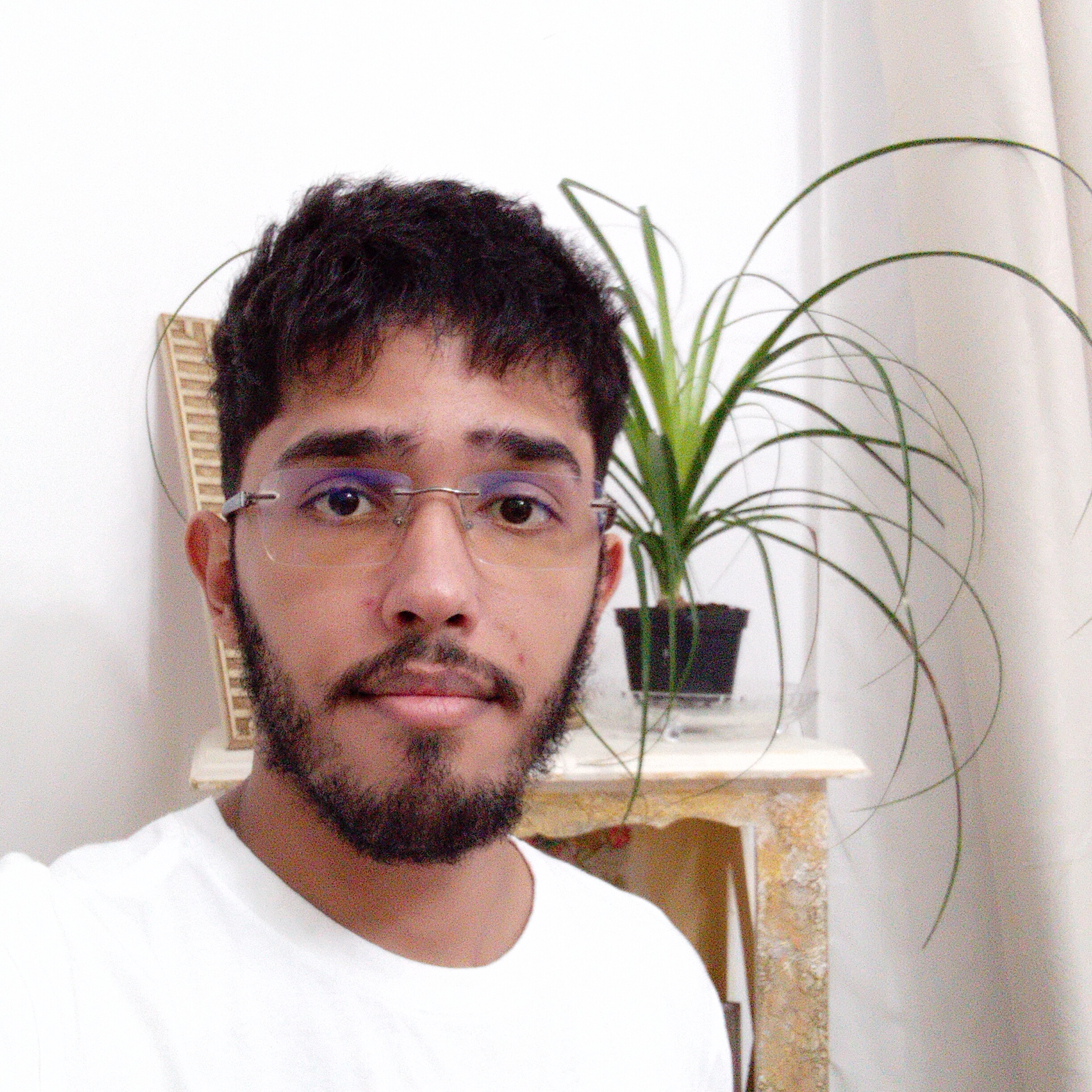 Rafael Ferreira